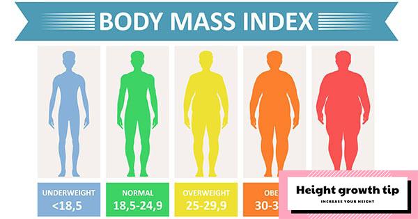 body mass index