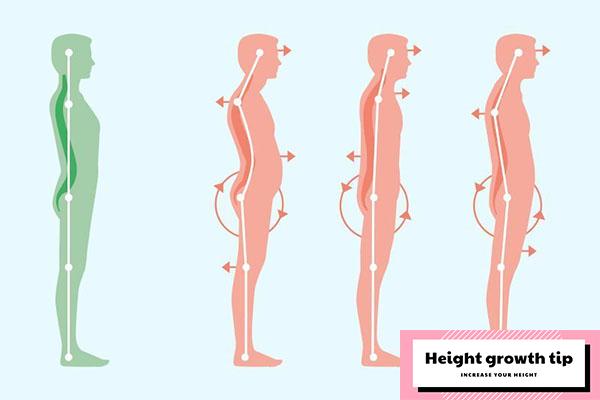 have-the-right-posture-to-add-height-at-14