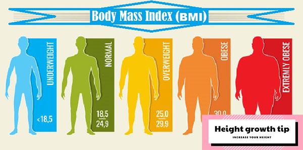 what-is-body-mass-index-bmi