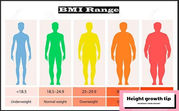 what-to-consider-to-maintain-the-right-bmi