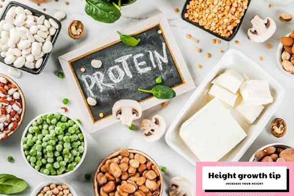 does-protein-contribute-to-increasing-height